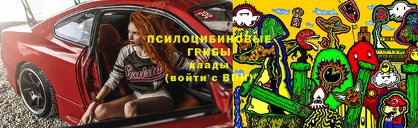 ешки Ладушкин