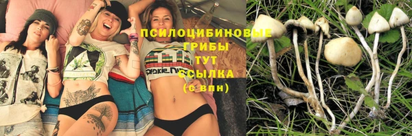 прущая мука Кулебаки